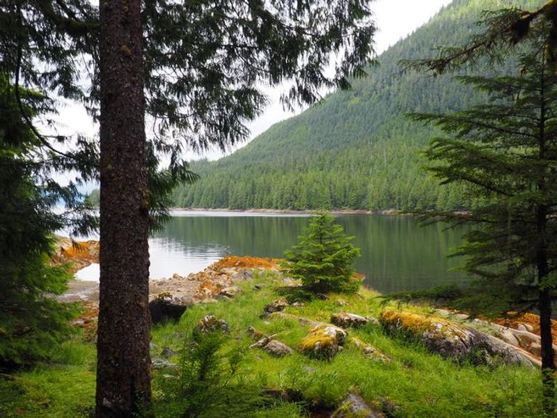 View from Frosty Bay cabin