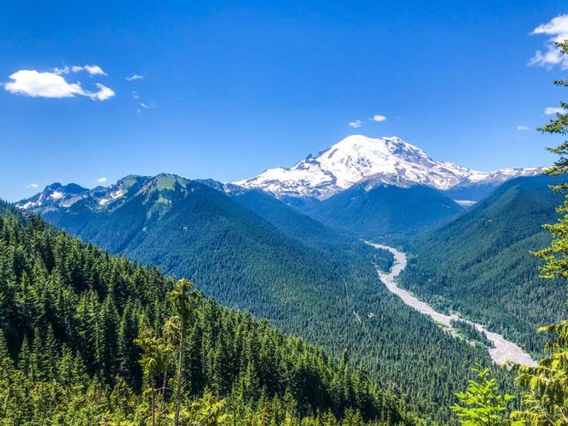 High above White River Campground, a wide, rocky river snakes down a deep valley with forested mountains on each side. Mount Rainier dominates the frame at the end of the White River Valley.