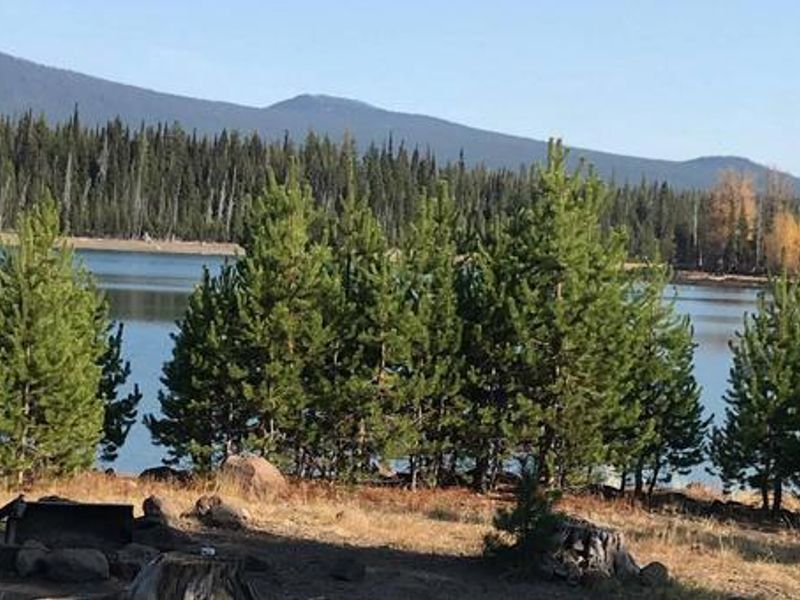 Mt Bachelor from Elk Lake