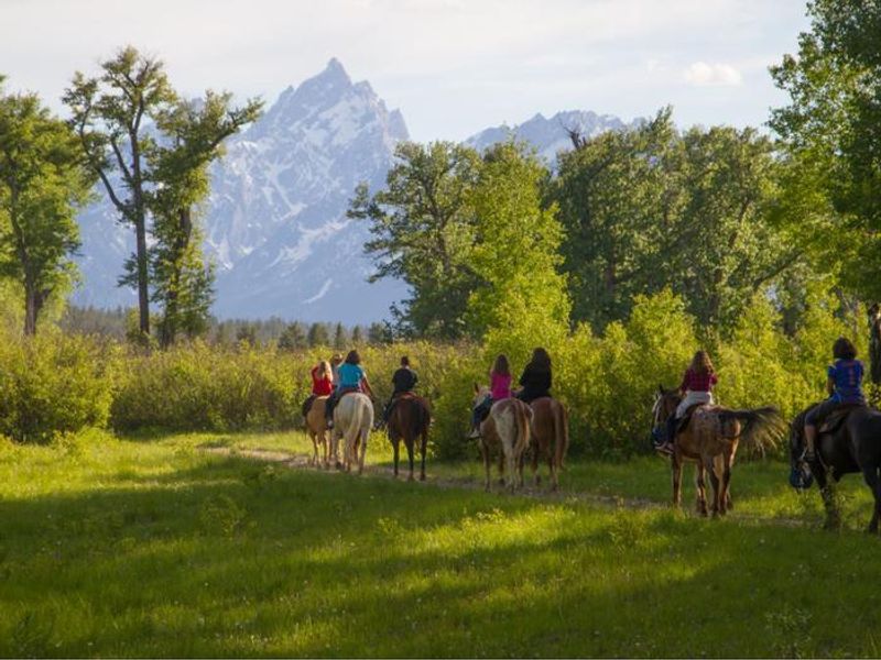 Colter Bay and the surrounding area offers a wide variety of activities for all ages, including marina rentals, horseback riding, world-class guided fishing, and lake cruises. Stop by our activities desk to find the perfect excursion for everyone in your group!