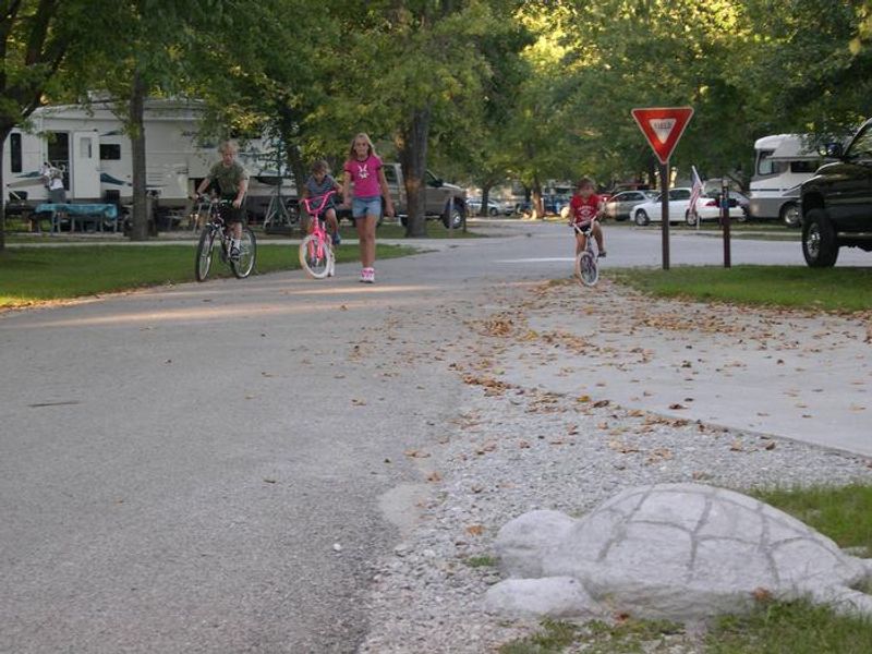 Concrete Turtle and Bicycling