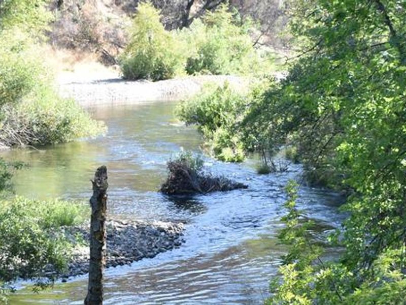 Clear Creek at Peltier Bridge Campground