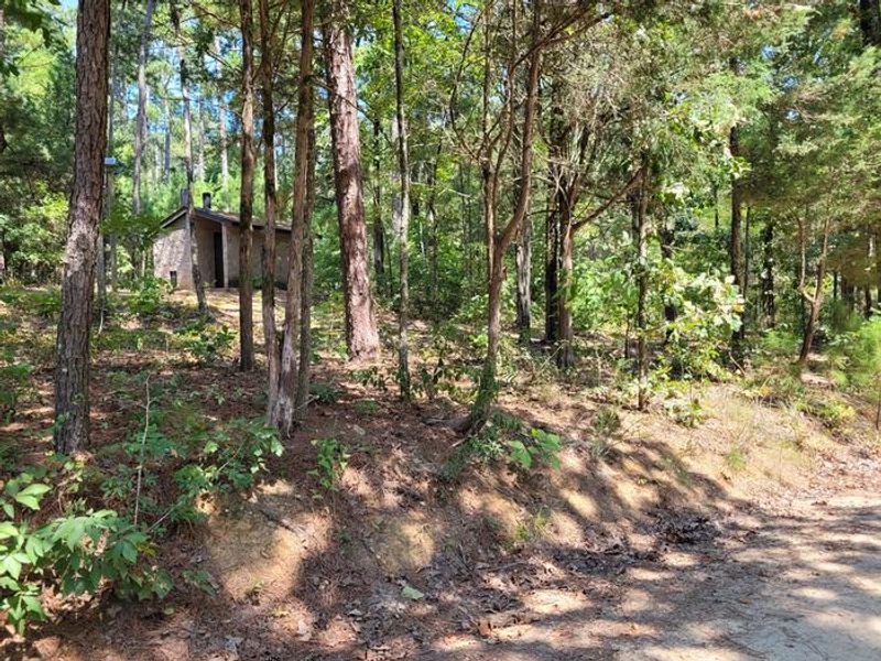 Vault toilet 1-10 loop