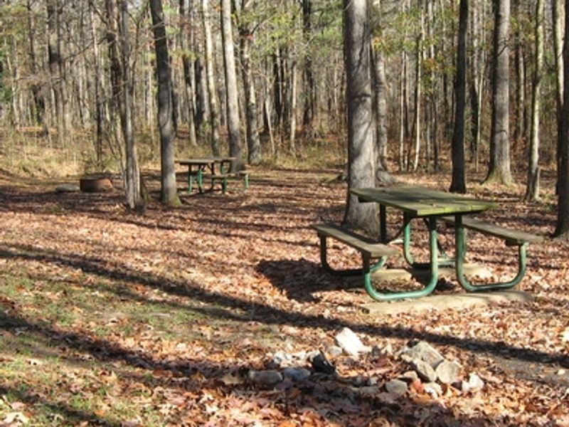 Campsites are available on a first come, first serve basis. No reservations.