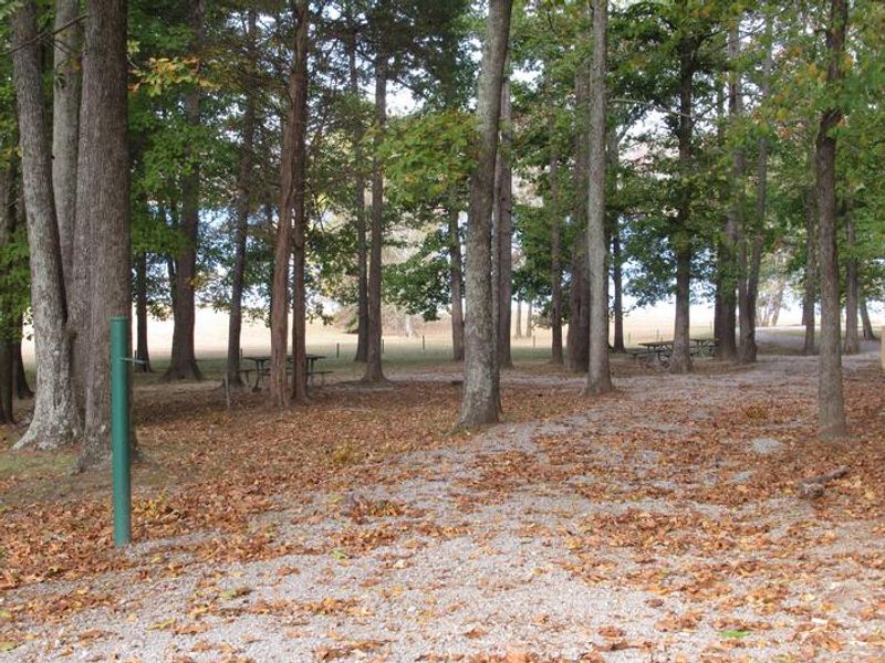 Picnic Area located near the beach about 2 miles from campground