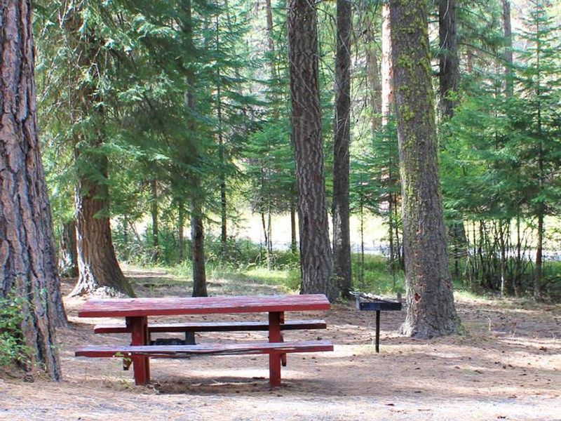 Buckhorn Bar Campsite