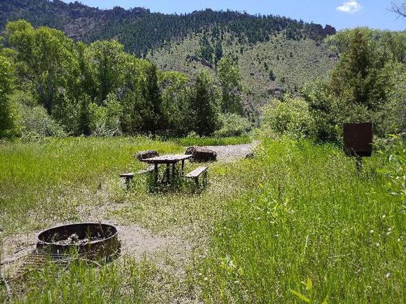 Big Game Campground Campsite