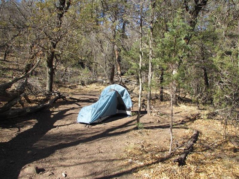 The Chisos Mountains provide opportunities for overnight backpacking at remote designated campsites. 