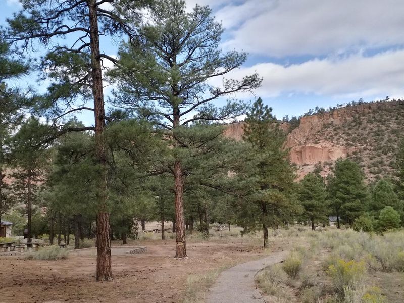 A campground with pines trees near a walkway and mesas in the horizon.