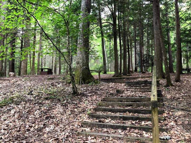 Views of Hurricane Campground