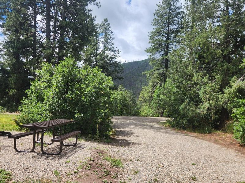 Typical back-in spur with picnic table and fire ring at Lower Hermosa