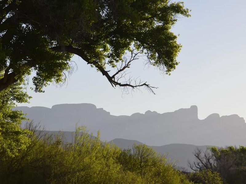 Rio Grande Village area offers excellent views of the Sierra del Carmen range in Mexico.
