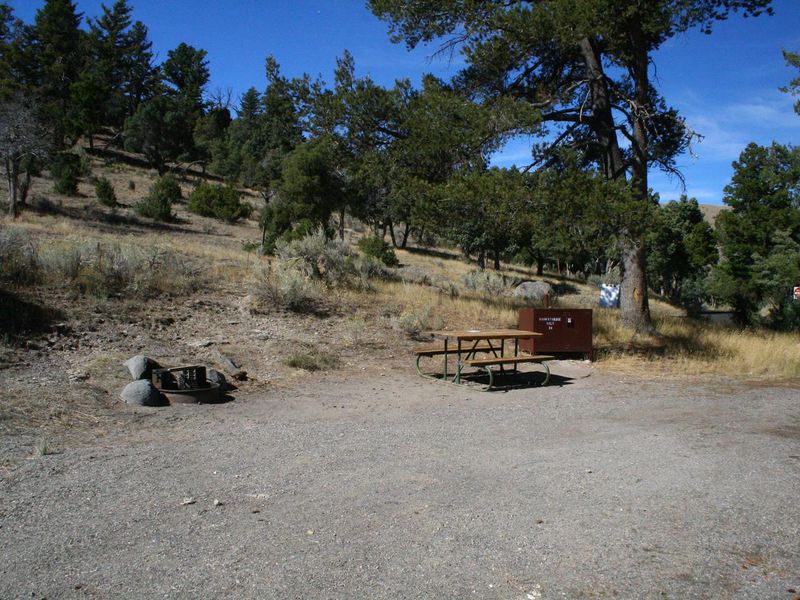 Mammoth Campsite #24