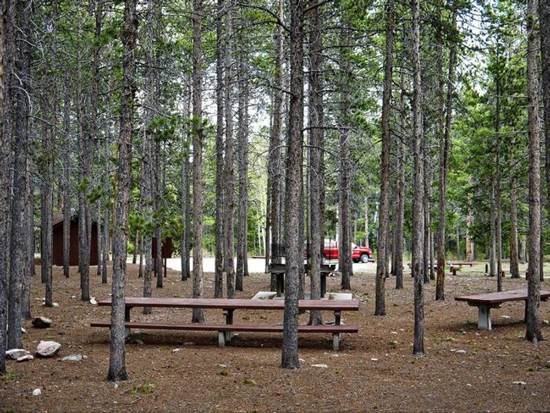 Hettinger Group Area