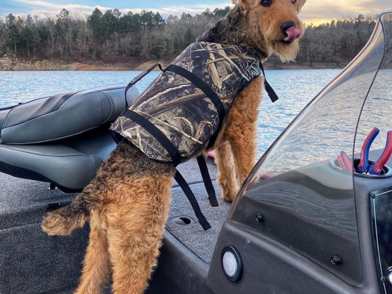 Life Jackets Save Lives! 