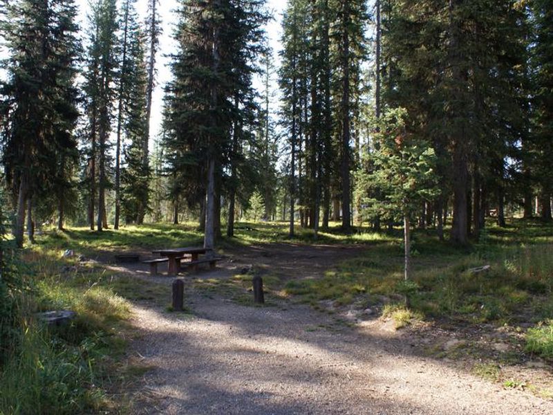 Meadows Campground site 6 table, fire pit and trees