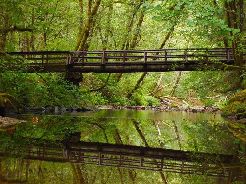 Bridge over Whittaker Creek