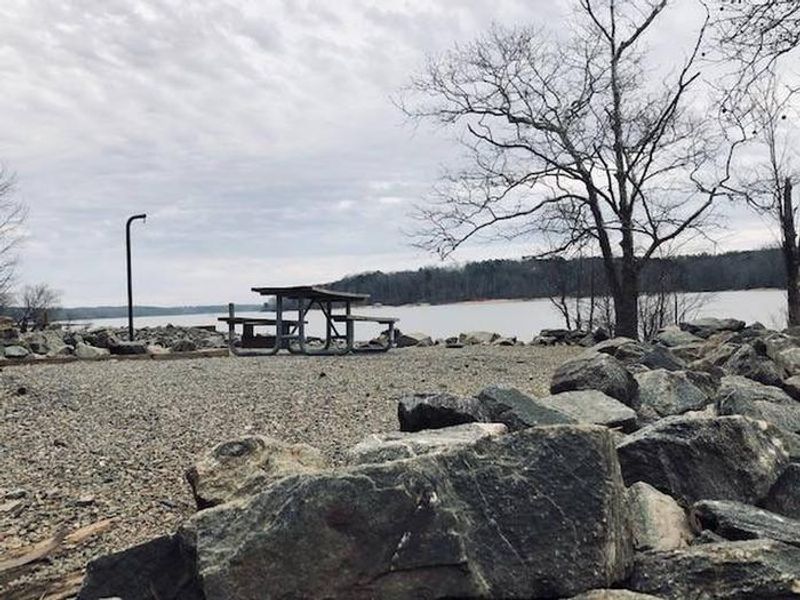 Welcome to Buffalo Park! This picture is one of the many beautiful campsites here at Buffalo Park. 