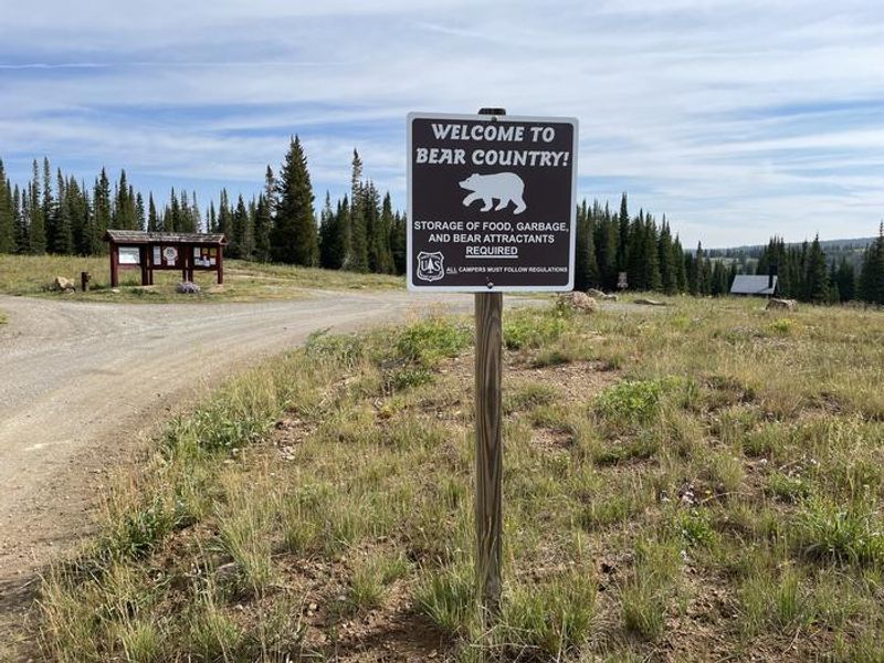 Bear-resistant food storage is required at Deep Lake Campground