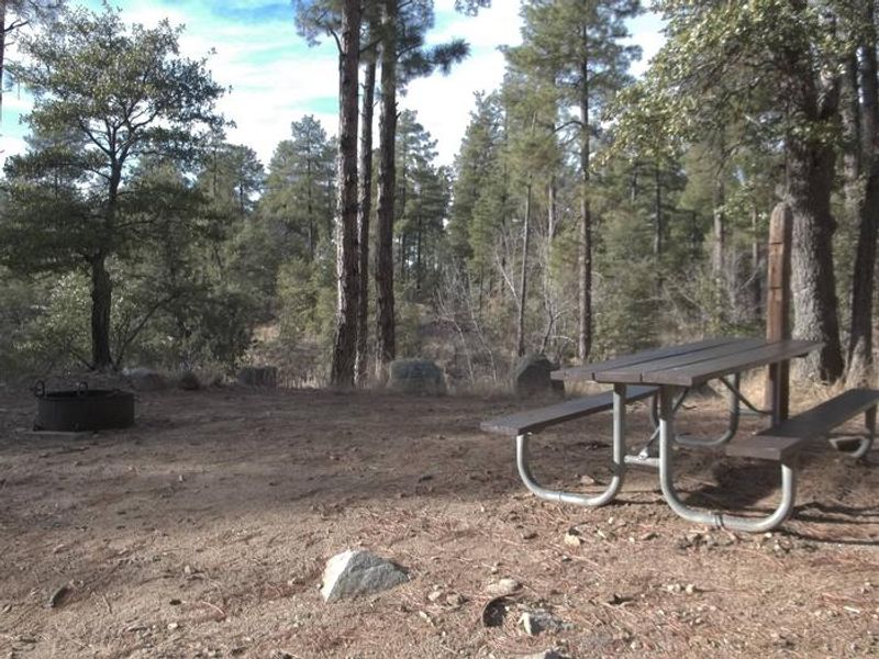 Additional campsites within the group site with fire pit and bench.