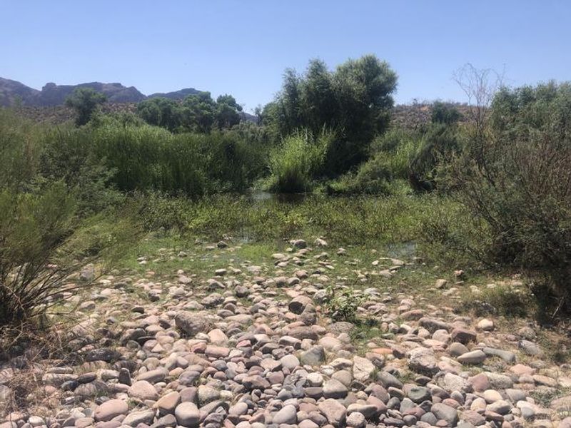 Tonto National Forest