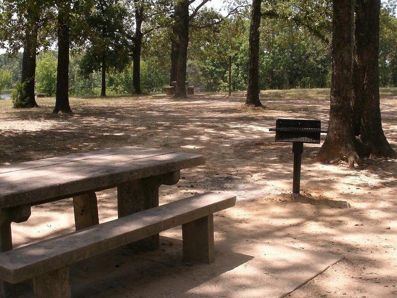 Coffee Mill Campsite