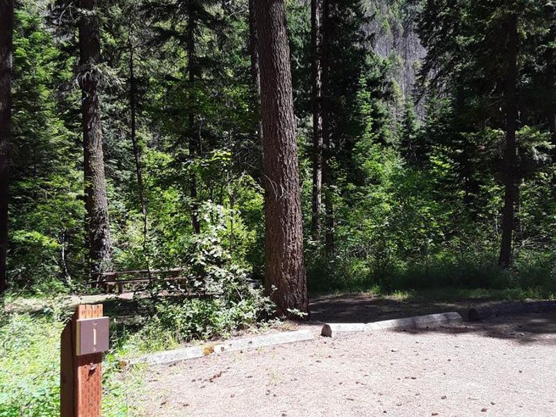 Trout Creek Campground Site 1