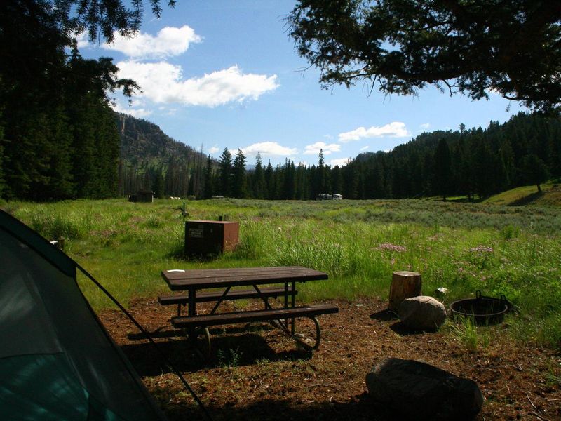 Slough Creek Campground Site #8