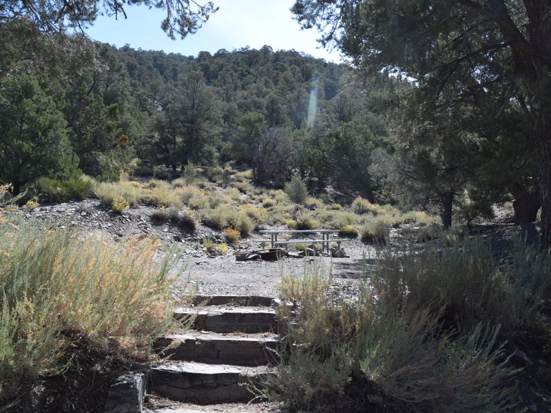This primitive campground is within a pinyon pine and juniper forest.