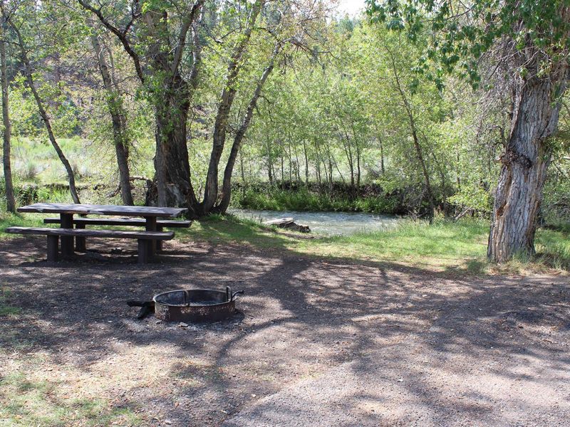 Fish from your camp.