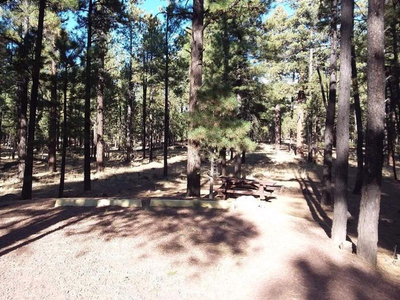 HOYER Campground Standard Site