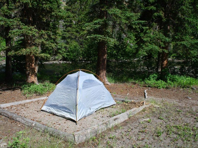 Slough Creek Campground Site #11