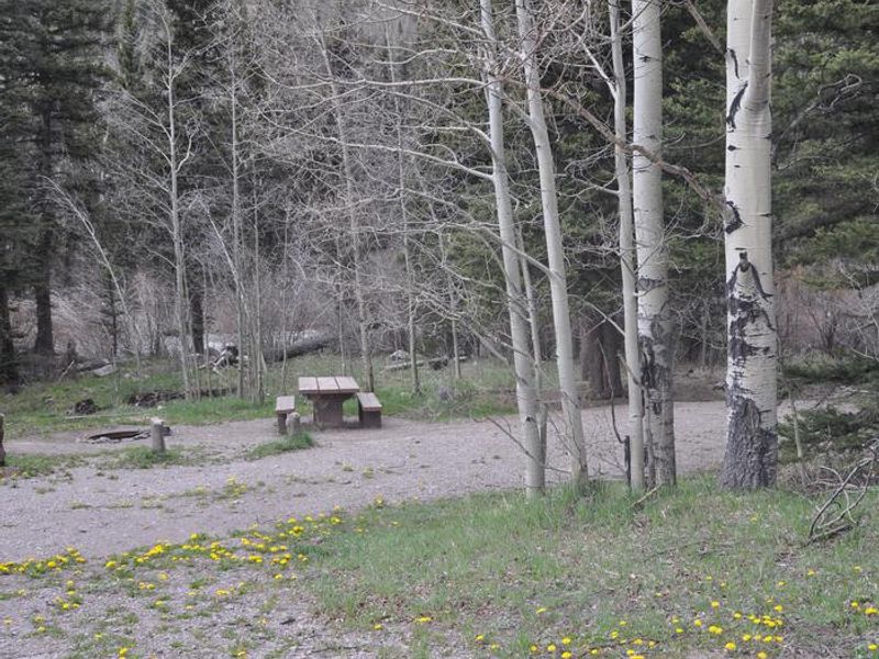 Lake Fork Campground Site 14