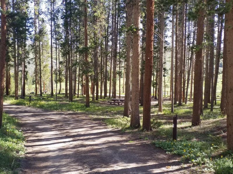 near site 9 in the morning