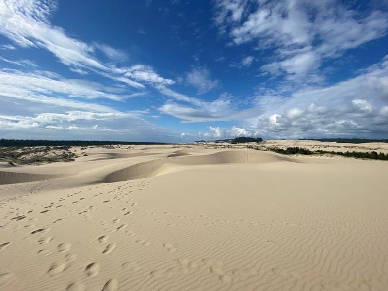 View of the dunes adjacent to the campground