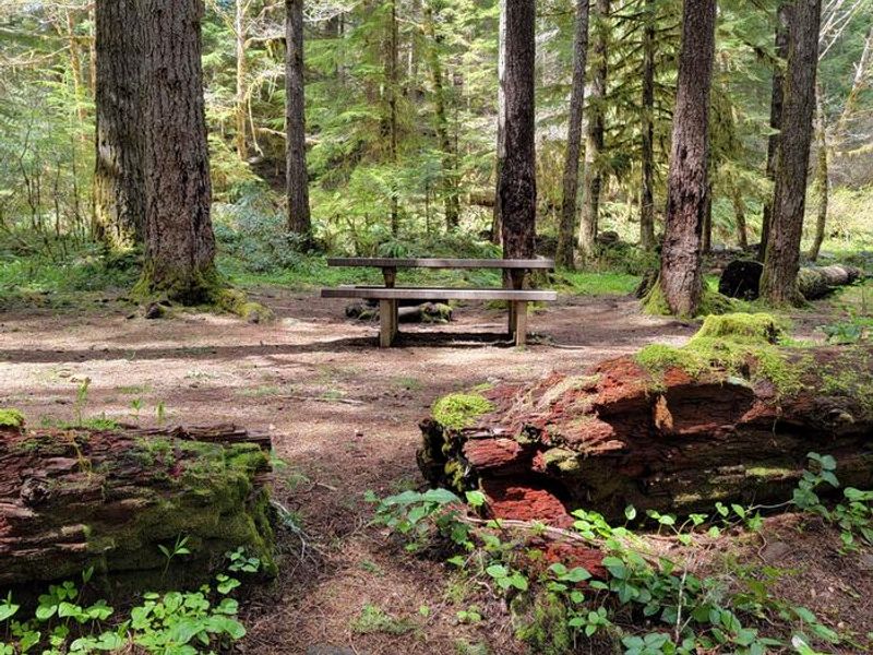 Campsite 7 in Dovre Campground