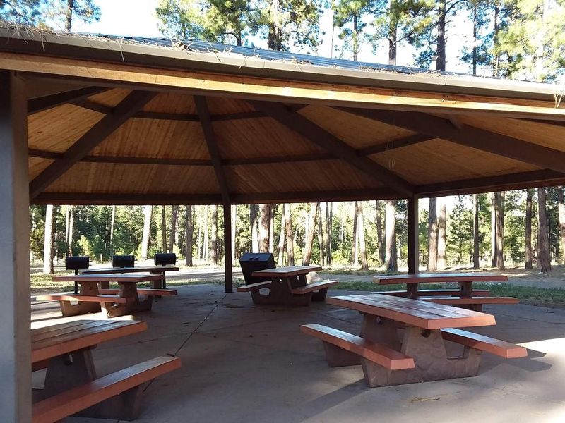 Shaded area for groups at Jacob Lake