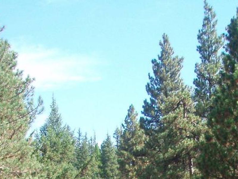 Kaner Flat Campground