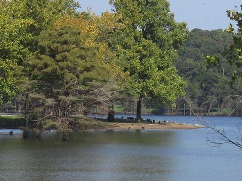 Rocky Point offers a large boat ramp parking area and courtesy dock on the west side of the campground.