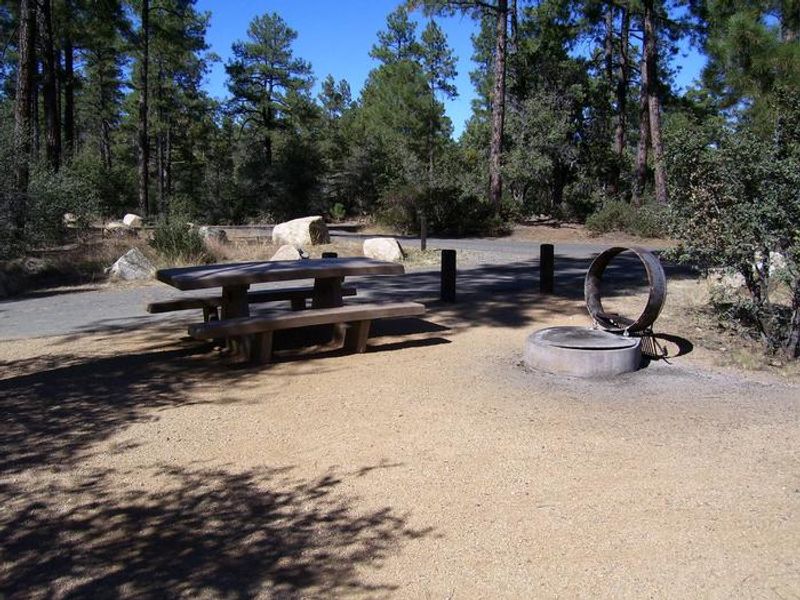  Uncovered camp site with fire pit in the afternoon shade. 