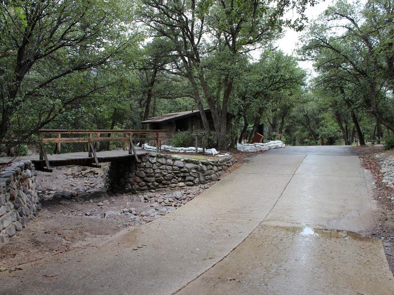 Bonita Creek Crossing within Bonita Canyon Campground.