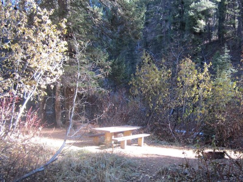 Some of the campsites at Ten Mile are tucked away in the greenery.