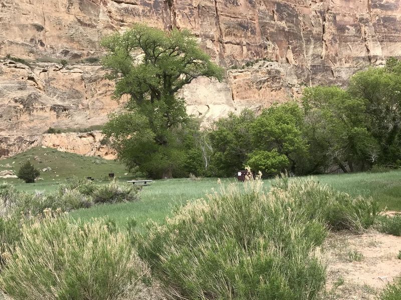 Echo Park Walk in Sites