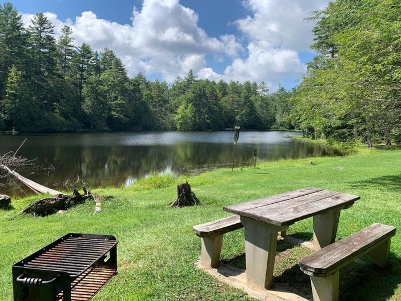 Lakeside picnic area