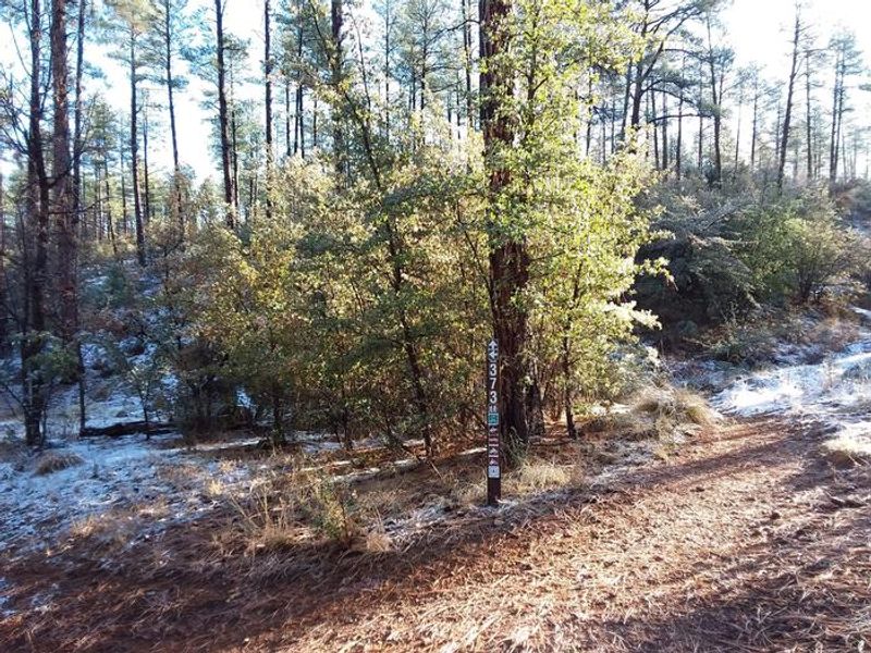 White Spar Campground Trail