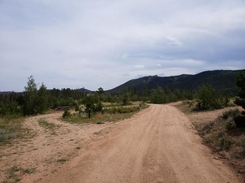 Yellow Pine CG near site 13