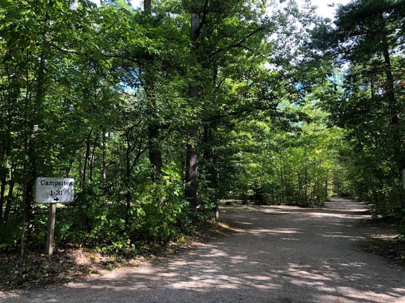 Generator loop entrance