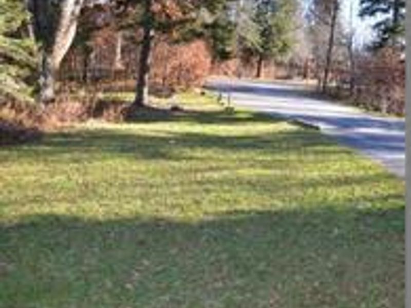 Entrance to Balsam Mnt Campground showing road and trees