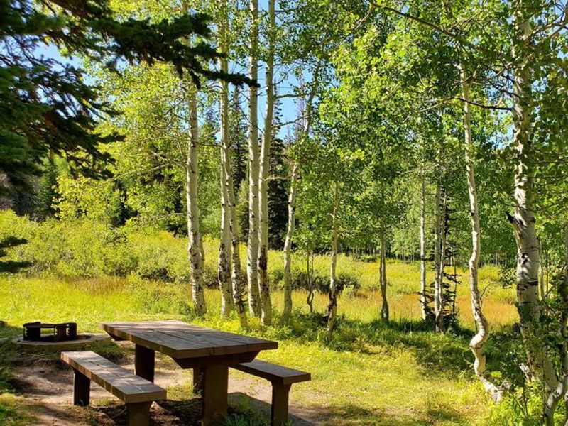 Gooseberry Group Campground