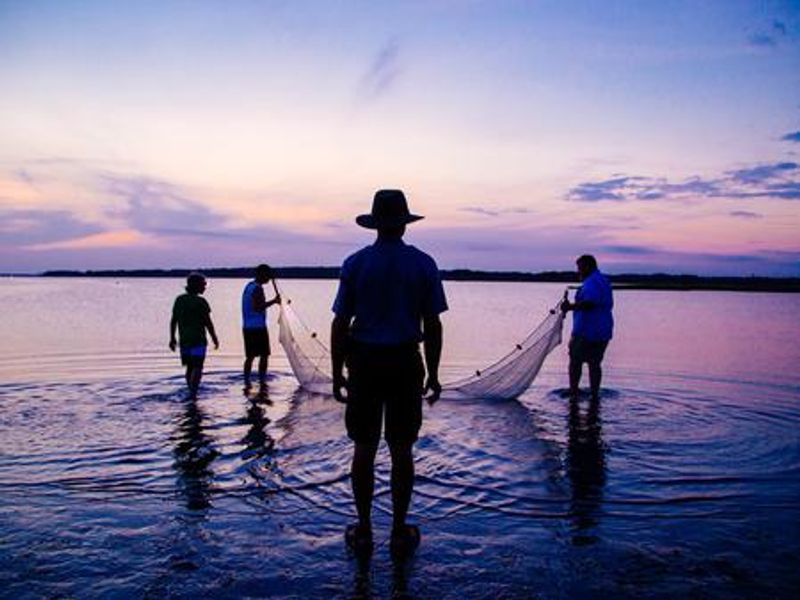 Seining the waters of Assateague Island National Seashore.